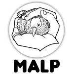 MALP (Mis amigas Las Palomas)