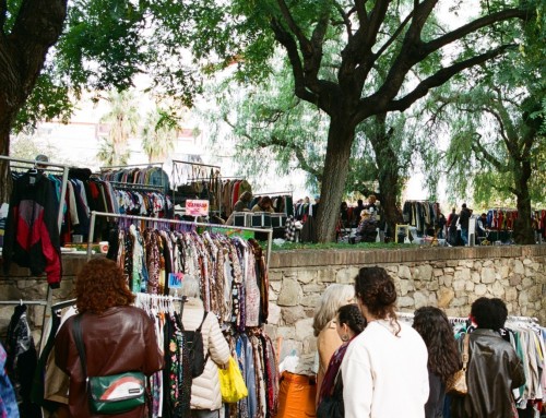 Fauna Y Flora En El Jardín De Las Gangas